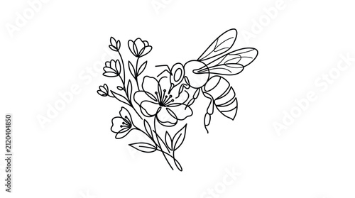 Minimalist line art illustration of a bee on a blooming flower branch with delicate petals and leaves
