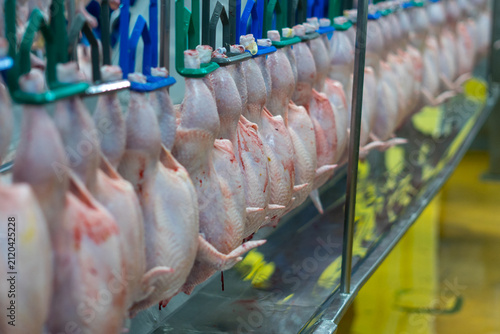 Fresh whole chickens hanging from hooks on a processing line inside a poultry processing facility. The image represents poultry processing, meat production, food industry, agricultural manufacturing, 