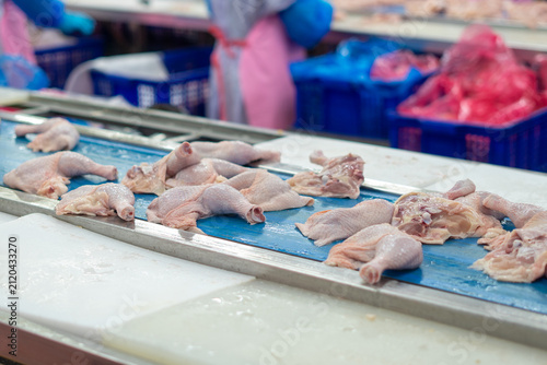 Fresh whole chickens hanging from hooks on a processing line inside a poultry processing facility. The image represents poultry processing, meat production, food industry, agricultural manufacturing, 