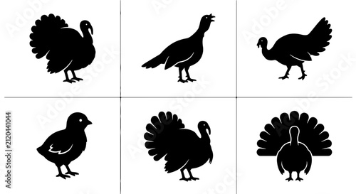Obraz na plátně Turkey Silhouette Collection, 6 Vector Icons: Adult Birds, Chicks, Thanksgiving