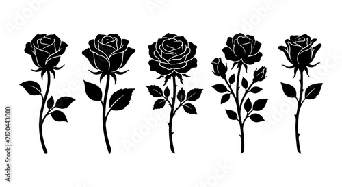 Obraz na plátne Elegant Black Rose Silhouettes, Vector Set of Five Blooming Flowers with Stems a