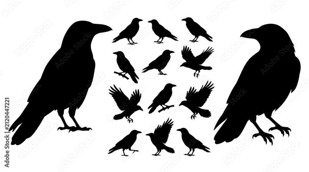 Naklejka premium Collection of black crow silhouettes in various poses and attitudes