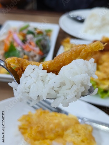 rice with chicken and fried egg.