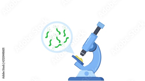 helicobacter pylori bacteria microscope medical laboratory animation