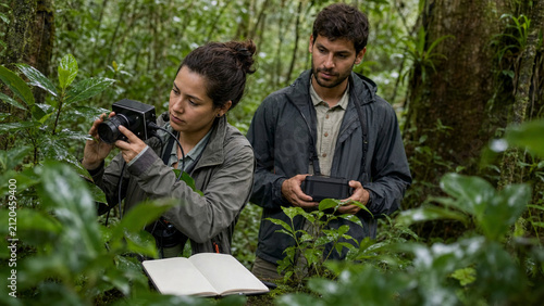Researchers documenting plants in a tropical rainforest