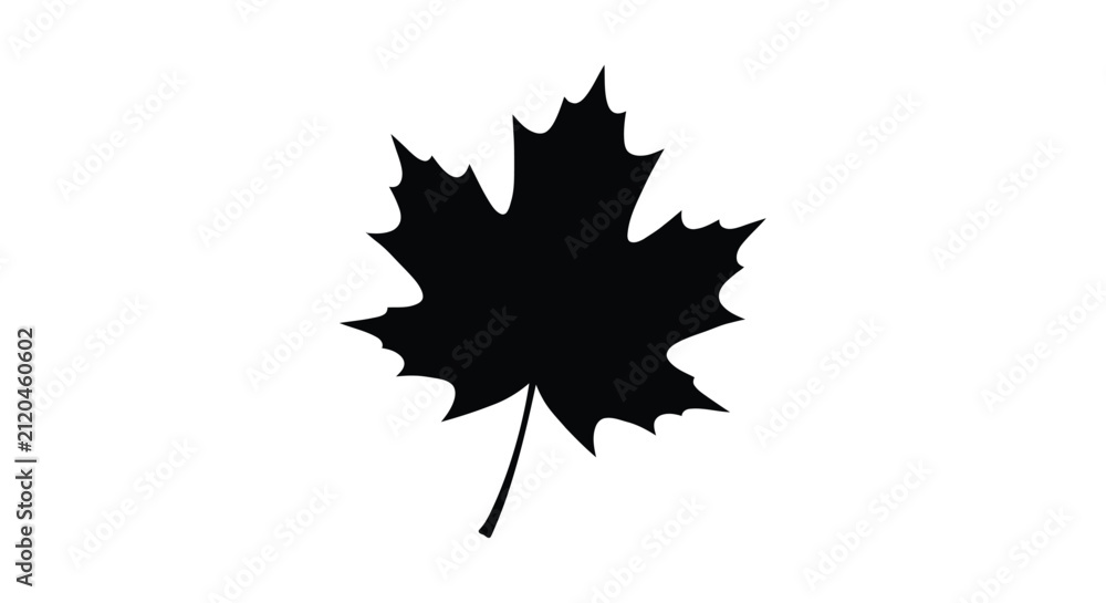Fototapeta premium Maple leaf silhouette on a white background