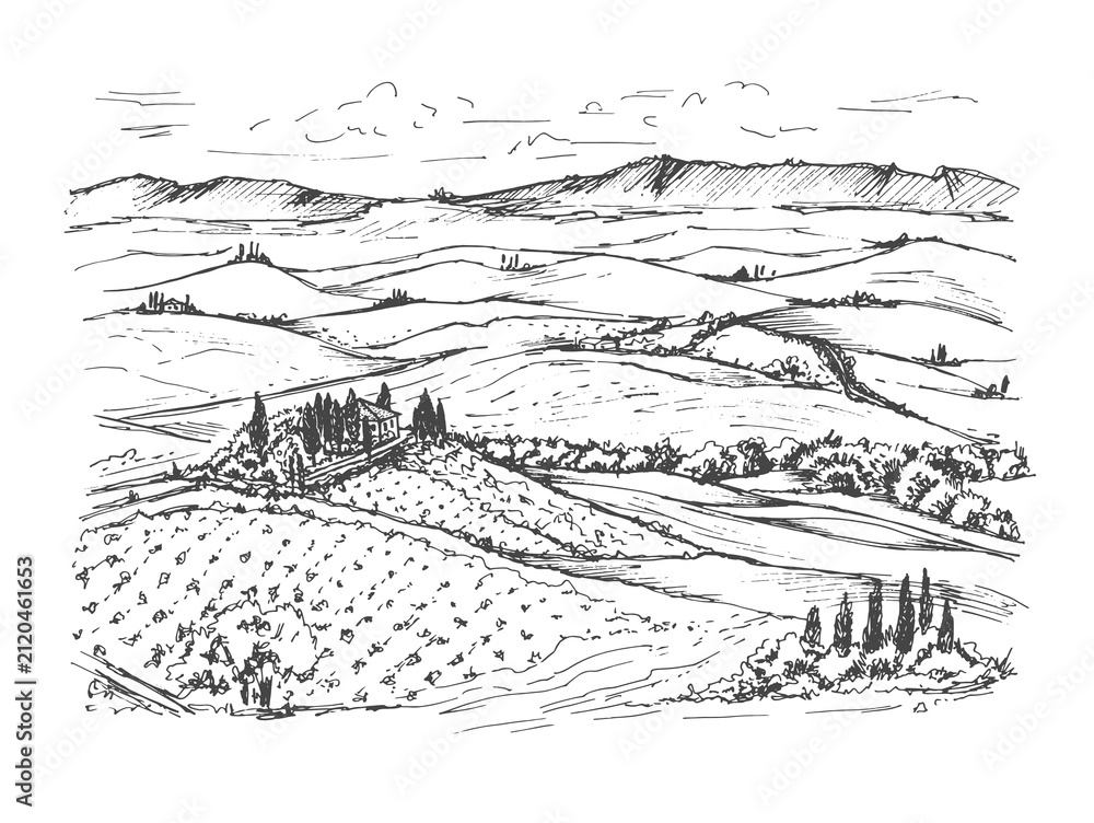 Fototapeta premium Sketch of Val d'Orcia Tuscan Landscape with Hills and Farmhouse