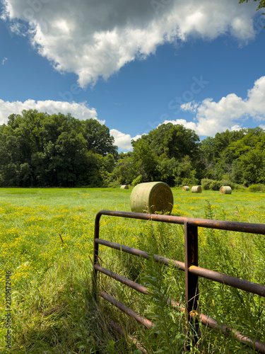 old wooden fence