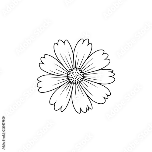 Simple line art drawing of a single spring flower blossom isolated on white background