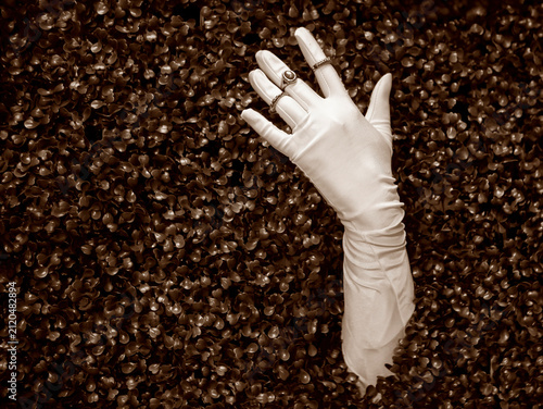 Gloved hand reaching out from a wall of dark petals in a creative art installation