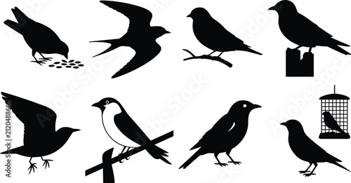 Wild Birds and Garden Songbirds Vector Silhouette Icon Set Featuring Pecking Pigeon with Seeds, Flying Swallow, Perched Finch, Starling on Post, 