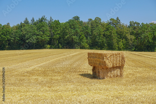 Fotografie Square straw bale on harvested wheat field in agricultural summer landscape⁠