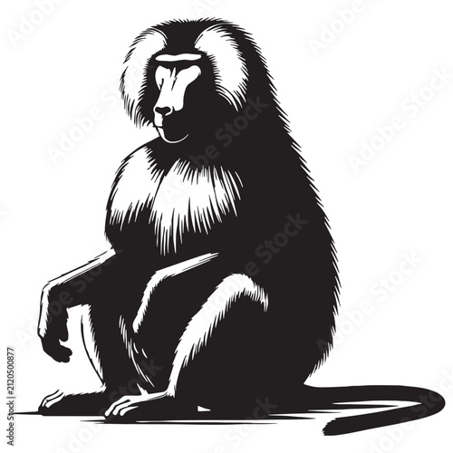 Baboon, Monkey, Primate, African, Wild, Safari, Jungle, Olive, Chacma, Hamadryas, Guinea, Yellow, Baby, Cute, Angry, Face, Portrait, Wildlife, Nature, Illustration, Drawing, Vector, Clipart.