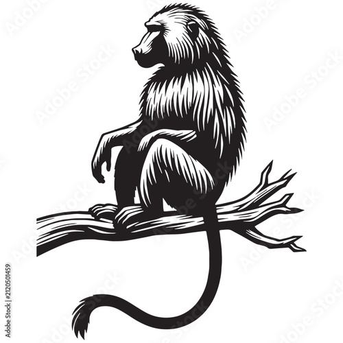 Baboon, Monkey, Primate, African, Wild, Safari, Jungle, Olive, Chacma, Hamadryas, Guinea, Yellow, Baby, Cute, Angry, Face, Portrait, Wildlife, Nature, Illustration, Drawing, Vector, Clipart.