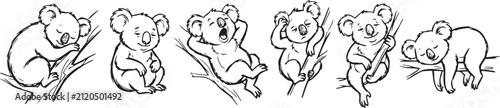 Photography A set of koalas. Hand drawn vector illustration
