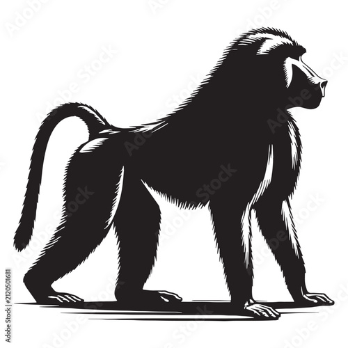 Baboon, Monkey, Primate, African, Wild, Safari, Jungle, Olive, Chacma, Hamadryas, Guinea, Yellow, Baby, Cute, Angry, Face, Portrait, Wildlife, Nature, Illustration, Drawing, Vector, Clipart.
