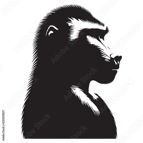 Baboon, Monkey, Primate, African, Wild, Safari, Jungle, Olive, Chacma, Hamadryas, Guinea, Yellow, Baby, Cute, Angry, Face, Portrait, Wildlife, Nature, Illustration, Drawing, Vector, Clipart.