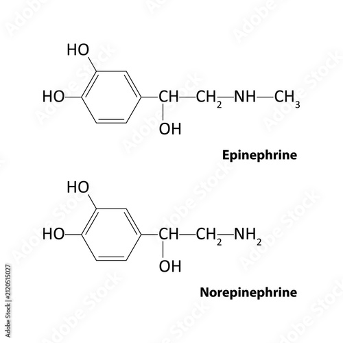 Epinephrine and Norepinephrine	