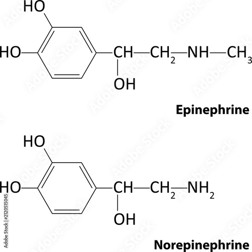 Epinephrine and Norepinephrine	