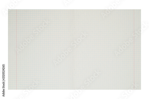 Quadro su tela blank open notebook page with blue grid layout and two red vertical margins on t
