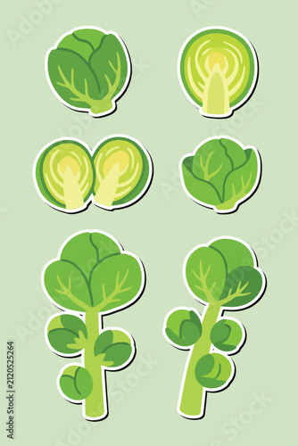 Brussels Sprouts Sticker Set Flat Vector Collection Isolated