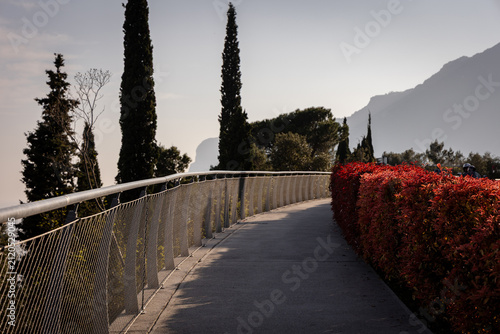 Scenic Lakeside Pedestrian Walkway with Cypress Trees at Lake Garda, Italy
