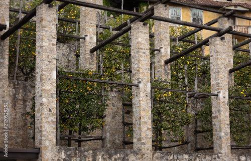 Traditional Italian lemon garden with historic stone pergola in Lake Garda, Italy