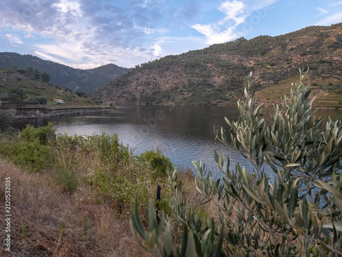 Peaceful view of the Tua River framed by trees in Sao Mamede de Ribatua, Alijo, Portugal. Idyllic Douro landscape with calm waters, hiking trails and a relaxing natural setting.