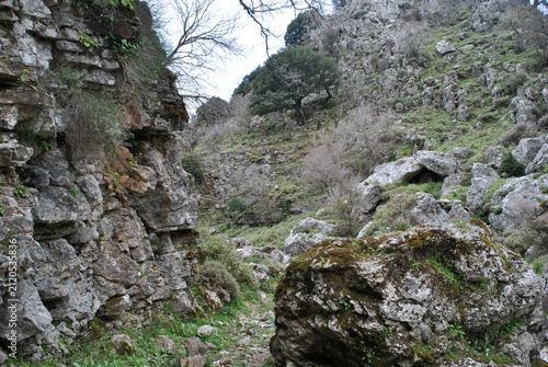 
high vertical walls in the gorge, mountain landscape