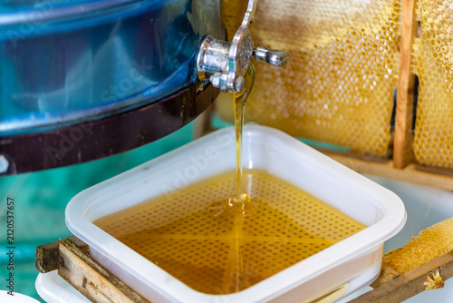 Images from the world of honey bees.