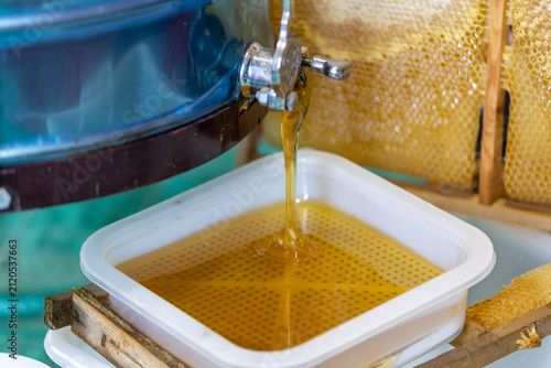 Images from the world of honey bees.