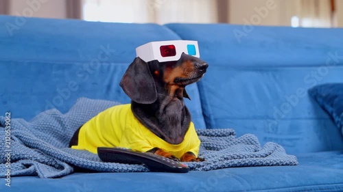 A black and tan dachshund dog in a yellow shirt and paper 3D glasses lies on a blue sofa beside a remote control, a humorous concept of relaxed at home cinema viewing.