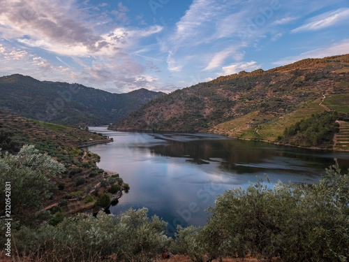 Idyllic view of the Tua River surrounded by vineyards, olive trees and rugged hills in São Mamede de Ribatua, Alijó, Portugal, at sunset.