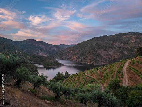 Idyllic view of the Tua River surrounded by vineyards, olive trees and rugged hills in São Mamede de Ribatua, Alijó, Portugal, at sunset.