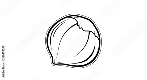 Foto Hazelnut Outline Vector Illustration