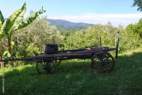 Old traditional wagon on display in Hum, Croatia. Beautiful rural landscape in the background. 