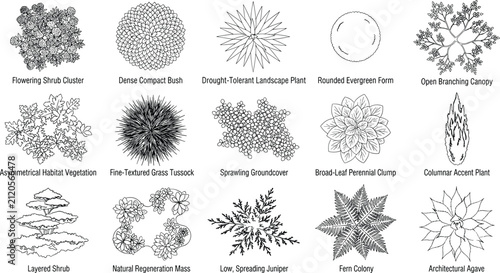 Landscape Plant CAD Symbols Collection with Shrubs Groundcover and Ornamental Vegetation Vector Set