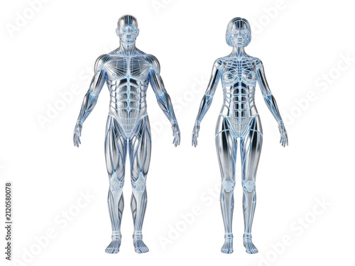 Futuristic digital man and woman standing figures isolated on white background