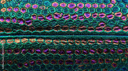Iridescent Beetle Elytron Texture