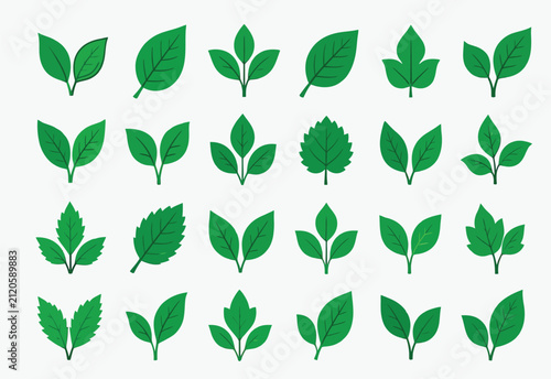 Eco-friendly leaf illustrations for environmental campaigns. Sustainable plant icons for green initiatives and nature conservation.