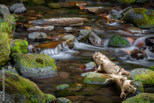 Photography stream in the forest