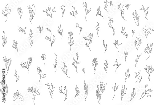 Aesthetic simple line drawing foliage and wildflowers bundle isolated on white background.