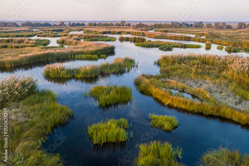 Elevated view over a reed wetland with winding channels and golden plumes at sunset