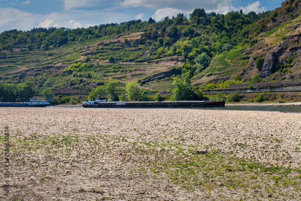 Obraz premium Extremes Niedrigwasser am Rhein im Mittelrheintal mit freigelegtem Flussbett und eingeschränkter Schifffahrt