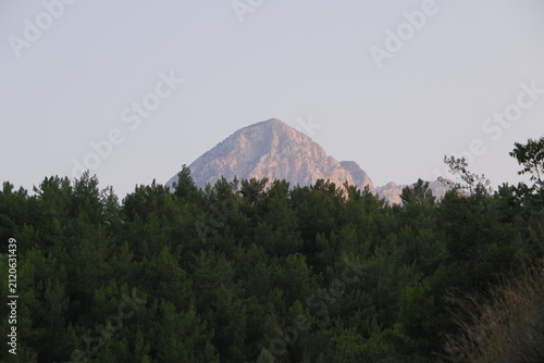 Majestic rocky mountain peak behind a pine forest at sunset
