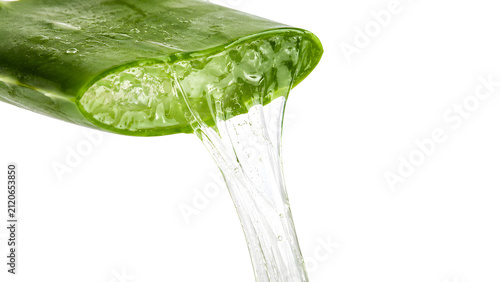 Fresh aloe vera gel stretching from cut leaf macro