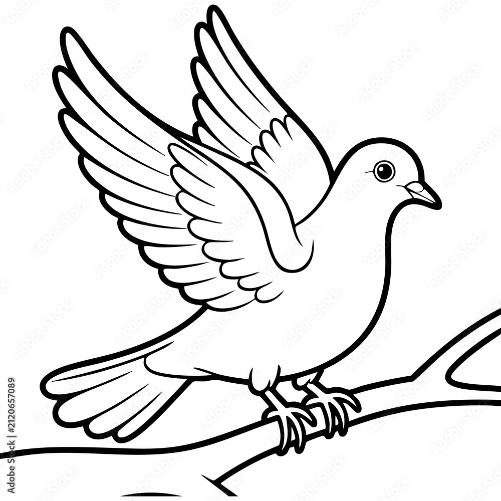 Fototapeta premium Dove Bird With Spread Wings And Detailed Feather Pattern Isolated on a Transparent or White Background