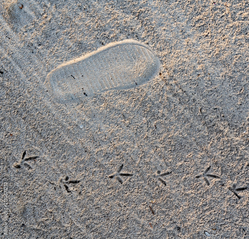 footprint in the sand
