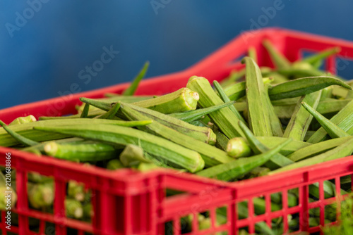 Принти на полотні A bright red plastic tray filled with green, firm pods of okra