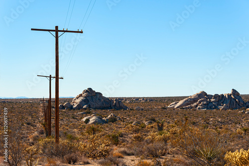 Принти на полотні Mojave desert located in San Bernandino County, California, between I-15 and I-4